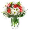 Radiant with cheerful energy, this bouquet captures the gentle optimism found in St Luke's on a spring morning. At its heart, plump coral-hued carnations with finely ruffled petals create a vibrant focal point, their dynamic texture celebrating life's joyful twists and turns. Dotted among them, crisp white daisies with striking green-yellow centers offer an uplifting sense of purity and calm-reminding one of serene strolls through Fortune Street Park. Wisps of tiny white baby's breath weave throughout the bouquet, bestowing an ethereal softness that tempers the bold colours and makes the whole arrangement feel light and effortless. Peeking discreetly from the side, unopened magenta alstroemeria buds promise continued refreshment and reveal the bouquet's thoughtful craftsmanship. The arrangement is embraced by deep green leaves, both matte and glossy, providing structural grace and balancing the vivid blossoms. Set within a clear glass vase filled with clean water, sturdy stems are visible beneath the surface-emphasizing freshness and the meticulous touch of St Luke's florists. With bright, even lighting accentuating each detail, the flowers appear as if truly glowing. Such a bouquet is perfectly suited for birthday surprises, tokens of encouragement, or simply bringing a refreshing burst of spring indoors to any St Luke's home, radiating warmth and renewal.