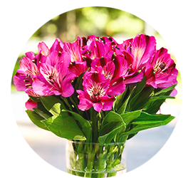 Same day Flowers St Luke's
